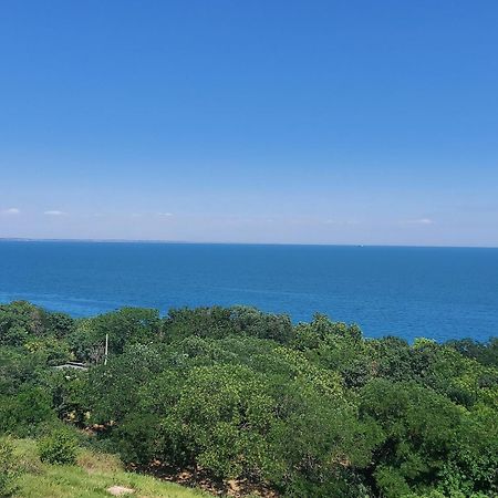 Arnautskaya Apartments Odessa Zewnętrze zdjęcie